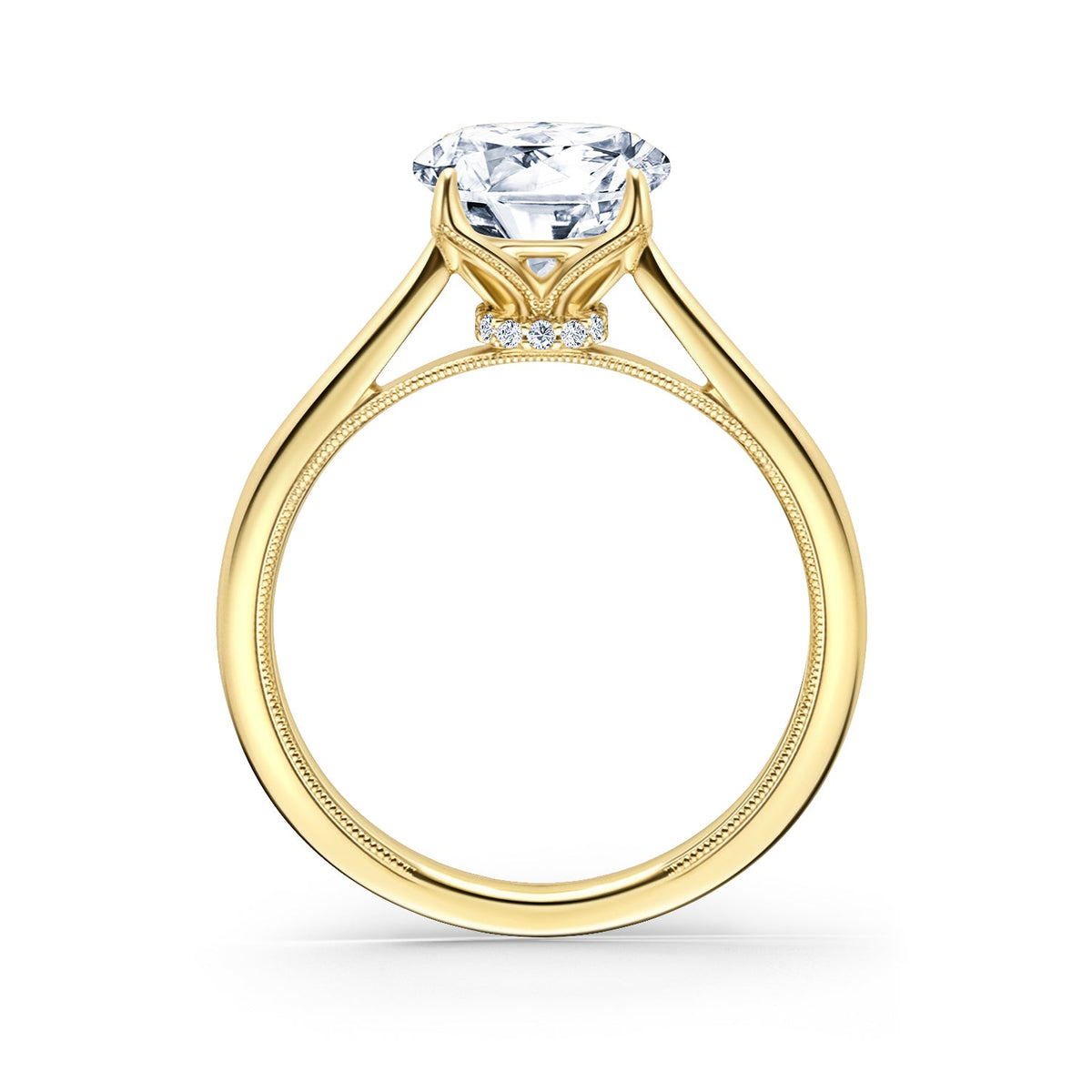 Cathedral Hidden Halo Solitaire Engagement Ring