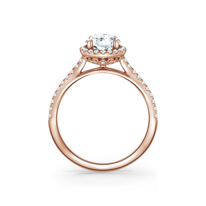 Classic Halo Diamond Shank Engagement Ring