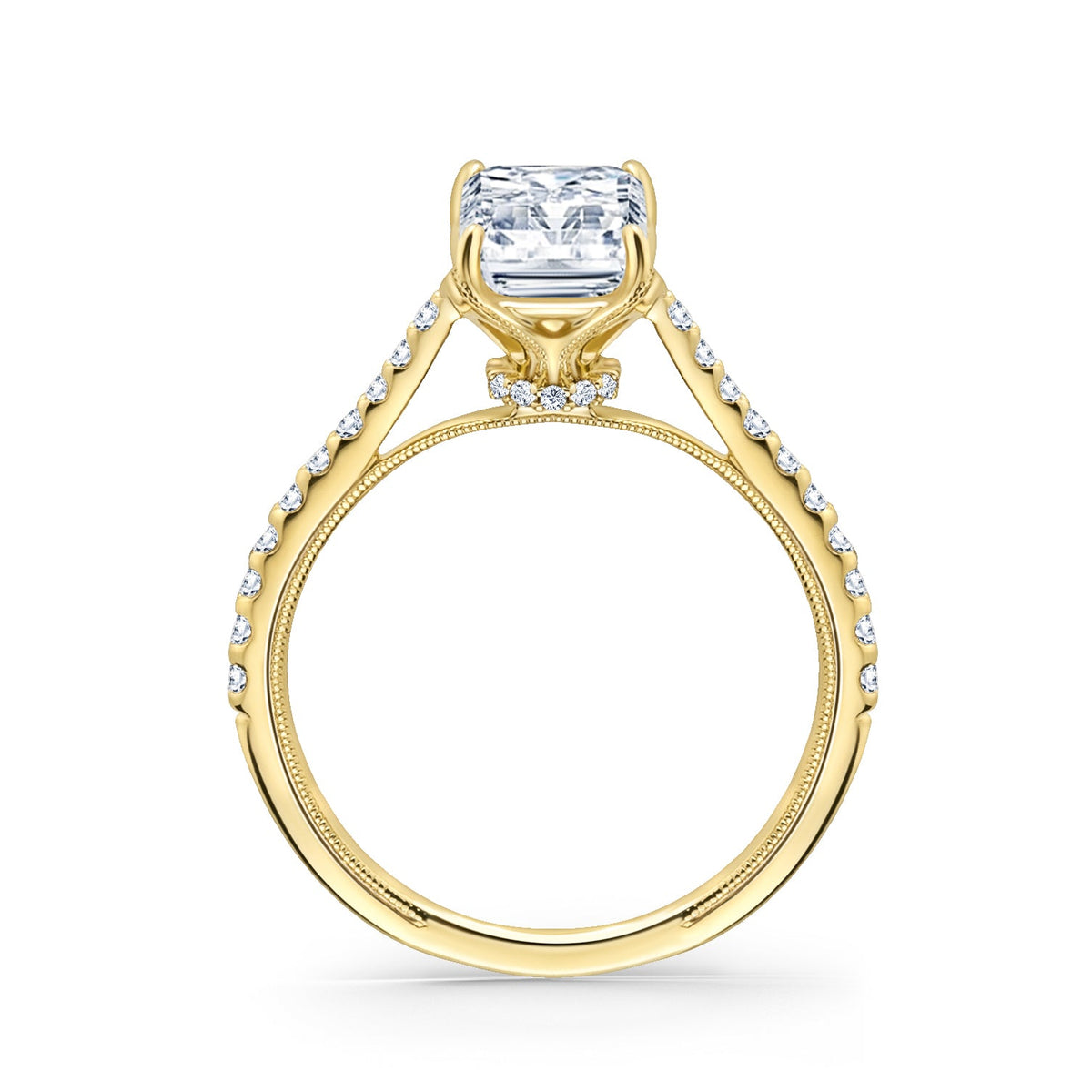Cathedral Hidden Halo Solitaire Diamond Engagement Ring