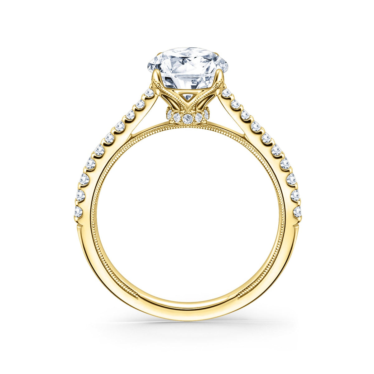 Cathedral Hidden Halo Solitaire Diamond Engagement Ring