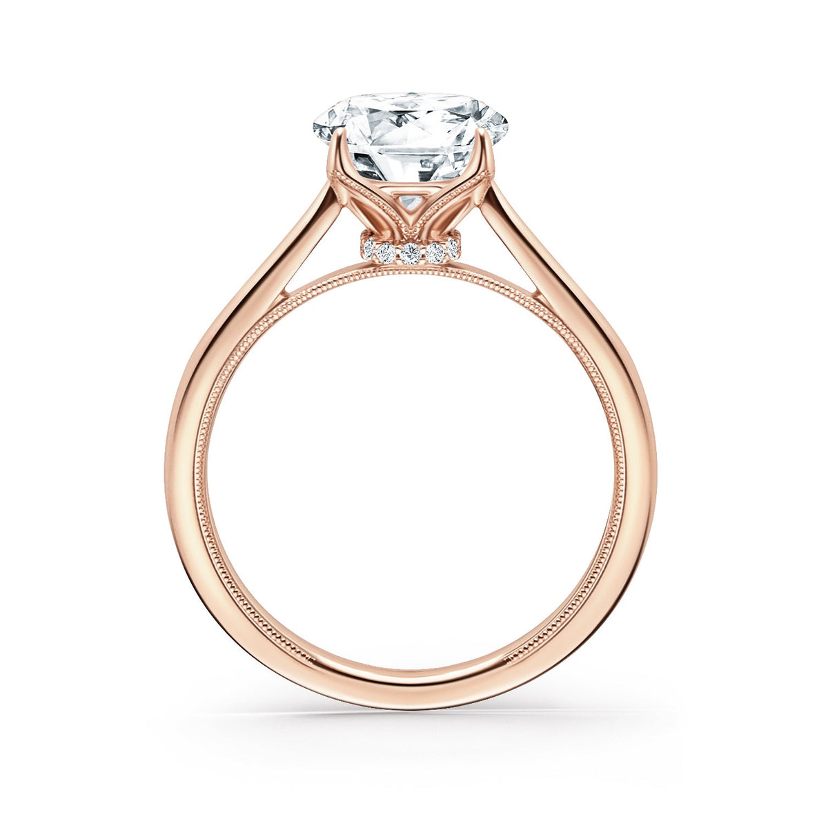 Cathedral Hidden Halo Solitaire Engagement Ring