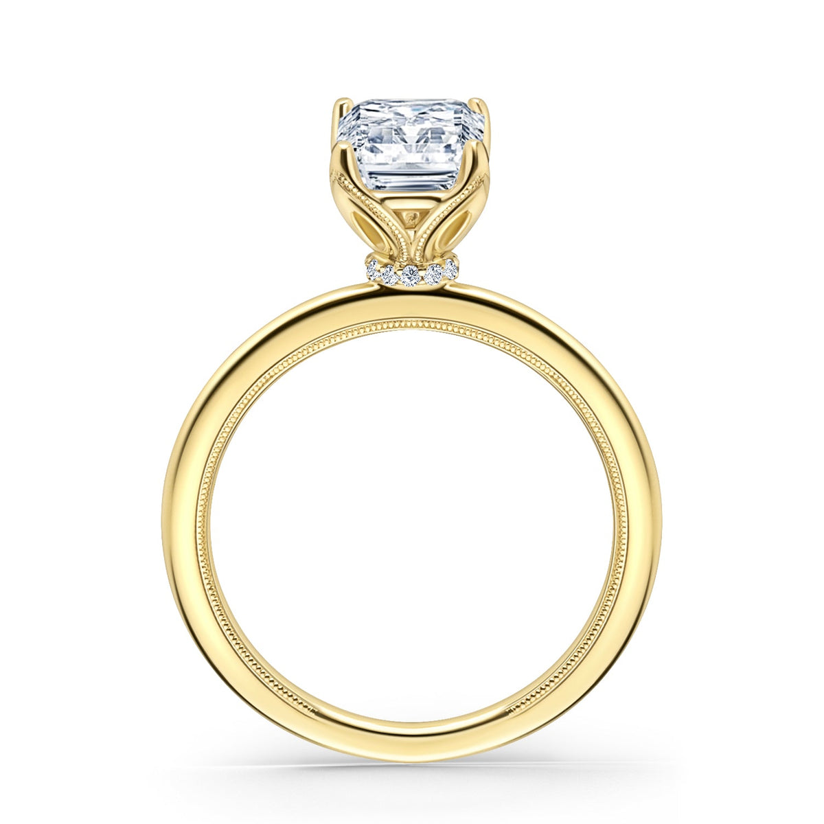 Hidden Halo Solitaire Engagement Ring