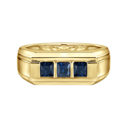 14K Yellow Gold Sapphire Men's Ring in Sand Blast Finish