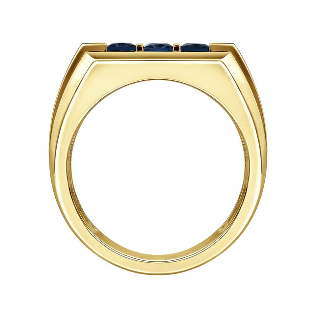 14K Yellow Gold Sapphire Men's Ring in Sand Blast Finish