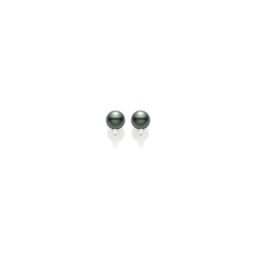 Black South Sea Stud Earrings – 18K White Gold