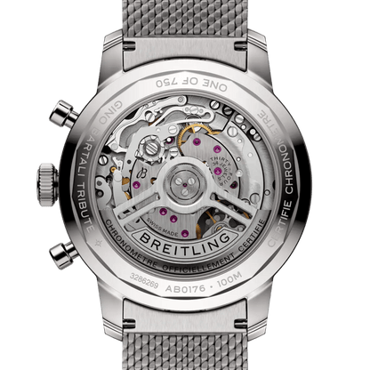 Top Time B01 Gino Bartali Stainless steel 41 mm AB01767A1C1A1 third view