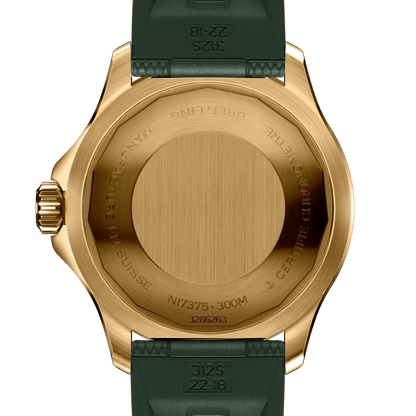 Superocean Automatic 42 Bronze 42 mm N17375201L1S1 third view